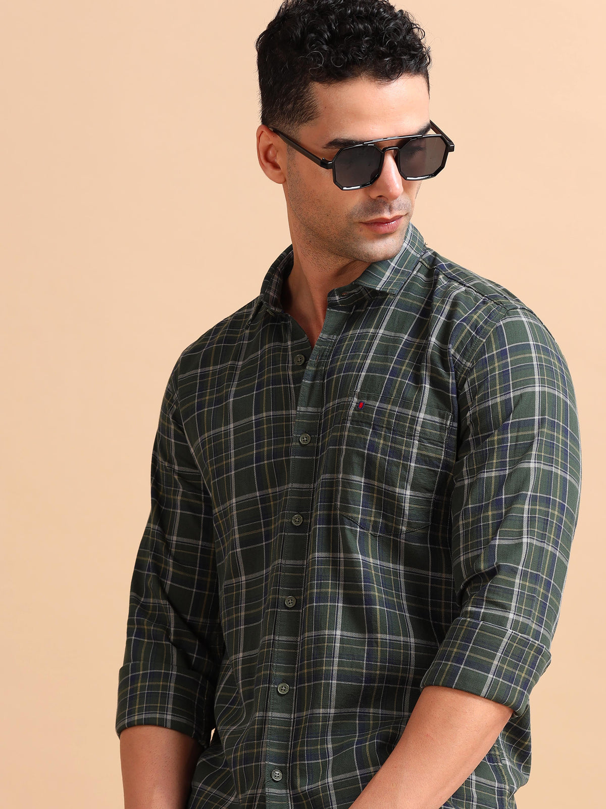 Men Green Regular Fit Checks Full Sleeve Casual Shirt