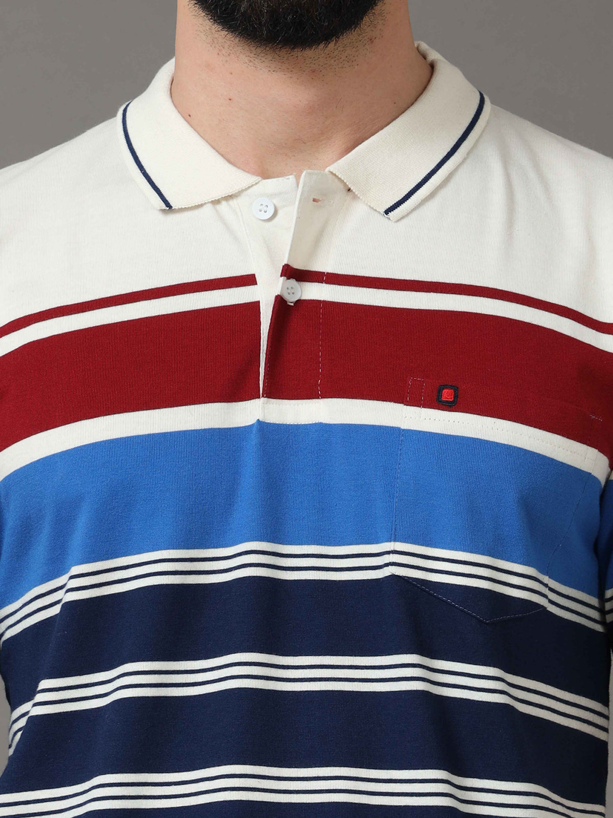 Shop Men's Blue Regular Fit Stripes Half Sleeves Polo T-Shirt Online.